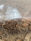 Shahrzad B 200x300 thumbnail
